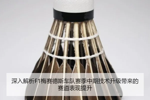 深入解析F1梅赛德斯车队赛季中期技术升级带来的赛道表现提升